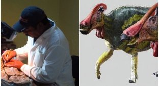 Ученые открыли новый вид динозавра (7 фото)