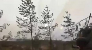 На видео работа системы залпового огня ГРАД со стороны российских оккупантов, район Сум