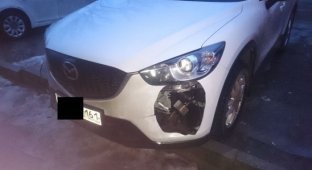 В Ростове у автомобилей Mazda вырезают противотуманки (2 фото + видео)