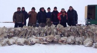 Добыча казахских охотников на волков (4 фото)