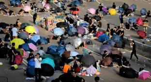 Жители Гонконга борются за свои права (21 фото)