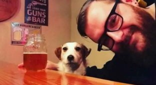 Собака прославилась в интернете спустя 4 года после своей смерти (8 фото)