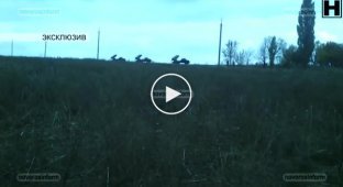 Артиллерия ДНР обстреливает позиции украинский войск под Мариуполем