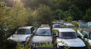 «Вы продаёте Саабов? Нет, просто показываю»: частная коллекция шведских автомобилей ржавеет под открытым небом (11 фото)