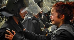 Фотографии бунтов и протестов 2013 года (12 фото)