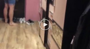 В Калининграде силовики выломали дверь в квартиру из-за видео в социальных сетях (мат)