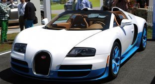 Bugatti Veyron 16.4 Grand Sport Vitesse SE в специальной окраске (18 фото)