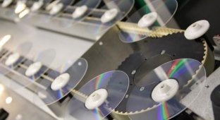 Как делают DVD-диски (30 фотографии)