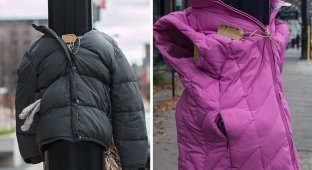 Дети развесили куртки для бездомных Канады (7 фото)