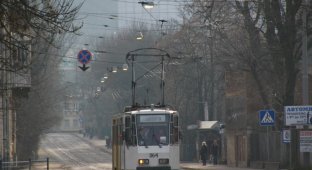 От лошади до Садового: Львовскому трамваю исполняется 123 года