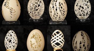 Ажурные шедевры: Резная яичная скорлупа от Брайан Бэйти (30 фото)
