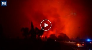 Во Франции бушуют лесные пожары