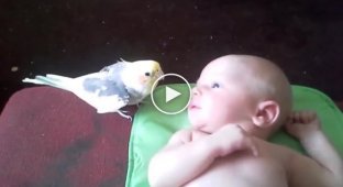 Попугай поёт для малыша, чтобы тот не плакал