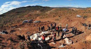 В Аргентине нашли кости самого большого животного на Земле (5 фото)