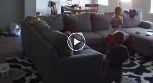 Мелкий пакостник решил проучить того кто занял его диван