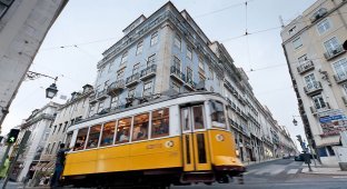 Трамваи Лиссабона (38 фото)