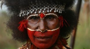 Классные фотографии. Папуа-Новая Гвинея (33 фотографии)