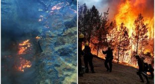 Разрушительные лесные пожары в Калифорнии - снимки из космоса (8 фото + 1 видео)