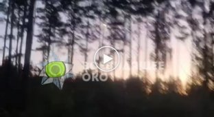 Видео запуска ракет со стороны Беларуси