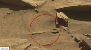 На Марсе обнаружили ложку: доказательство жизни на Красной планете? (2 фото + 1 видео)