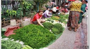 Азиатский рынок. Кило лосиных копыт для борща (19 фотографий)