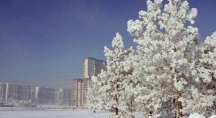В России выпало 40 см снега!!! Смотрим!