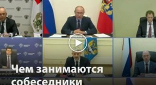 Чем занимаются чиновники во время видеозвонков с Путиным