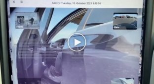 Владелица BMW ключом поцарапала автомобиль Tesla за неправильную парковку