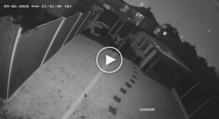 Удар молнии в британский самолет попал на видео