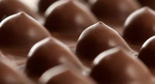 Titses Chocolate - провокационный шоколад в форме женской груди (12 фото)