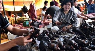 В Ухане запрещены охота, разведение и продажа мяса диких животных (3 фото)