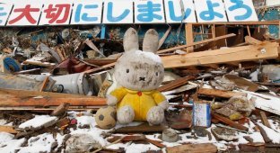 Япония: Надежды найти выживших практически нет (26 фото)