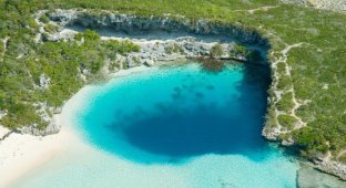 Голубая дыра Дина на Багамских островах (13 фото)