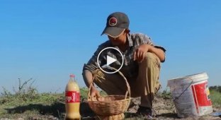 Самая странная рыбалка на Кока-колу