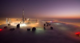 Дубай, окутанный туманом (16 фото)