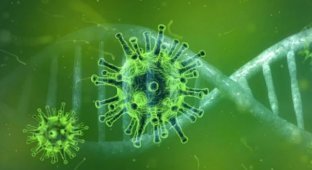 В ВОЗ дали официальное название коронавирусу из Китая