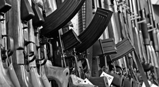 Нужно ли огнестрельное оружие обычным гражданам? (26 фото)