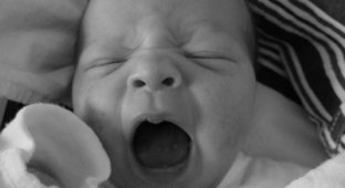 Почему люди зевают? (12 фото)