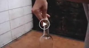 Как вынуть пробку из винной бутылки