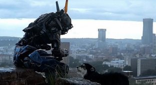 Съемки фильма «Робот по имени Чаппи» (40 фото + 1 видео)