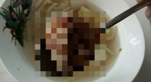 Ученики обнаружили в школьном супе кусок мяса с "щупальцами" (фото)