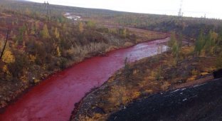 В Норильске из-за аварии на металлургическом заводе река окрасилась в красный цвет (2 фото)