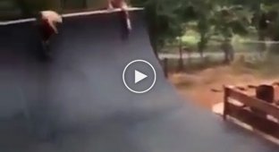 Собака выхватывает скейтборд из под ног во время трюка