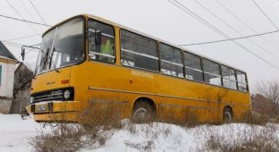 Волгоградец осуществил мечту детства и купил автобус Ikarus (13 фото)
