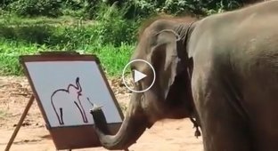 Слон рисует автопортрет