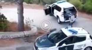 Владелец фургона накостылял полицейским во время своего ареста в Испании