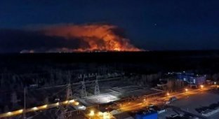 В Чернобыле сильный пожар: пламя уже дошло до Припяти и хранилищ с радиоактивными отходами (3 фото + 3 видео)