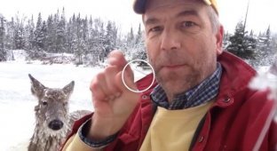 Глухой американец спас провалившуюся под лед олениху