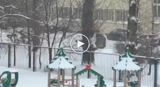 Коротко об уборке снега в Петербурге