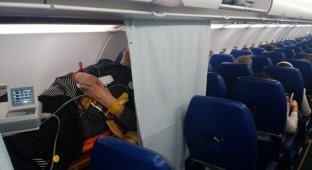 Шторкой прикрыли: как перевозят больных людей в самолёте (7 фото)